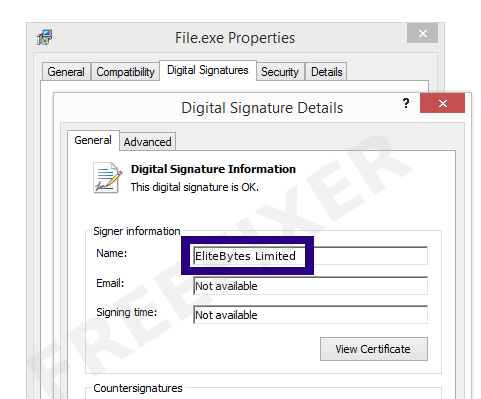 Screenshot of the EliteBytes Limited certificate